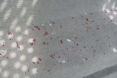 Hier sieht man einige Spritzer dieser Schutzschl&auml;mme. 
Die Konsistenz ist anf&auml;nglich gummiartig. 
Sie h&auml;rtet zwar noch weiter aus, bildet aber eine dauerhafte, elastische Schutzschicht, die das Eindringen von Feuchtigkeit dauerhaft verhindert.

Die Stahlarmierung im Beton ist somit wieder luftdicht verschlossen und nichtmehr weiterrosten.

Lesen Sie im 3. Teil, wie die Turmhelmsanierung langsam aber sicher ihrem Ende entgegen geht.

